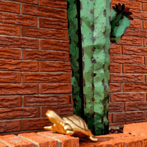 Untitled design (84)